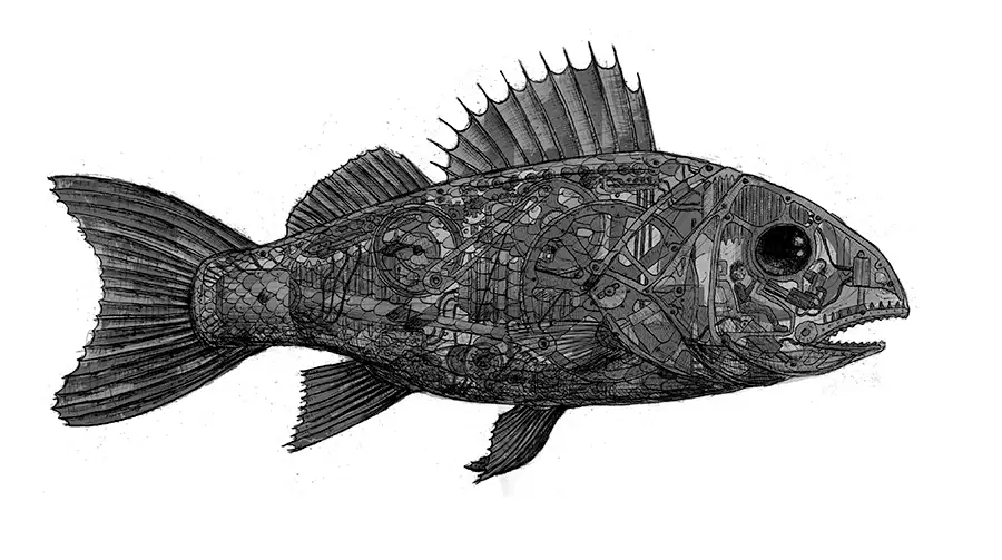 Entwurf von Fisch mit technischem Innenleben für Glaswürfel mit vier anamorphen Malerein