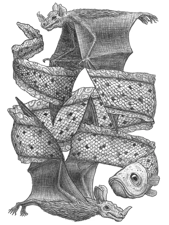 Pencil drawing with optical illusion in which two eels and two bats overlap
