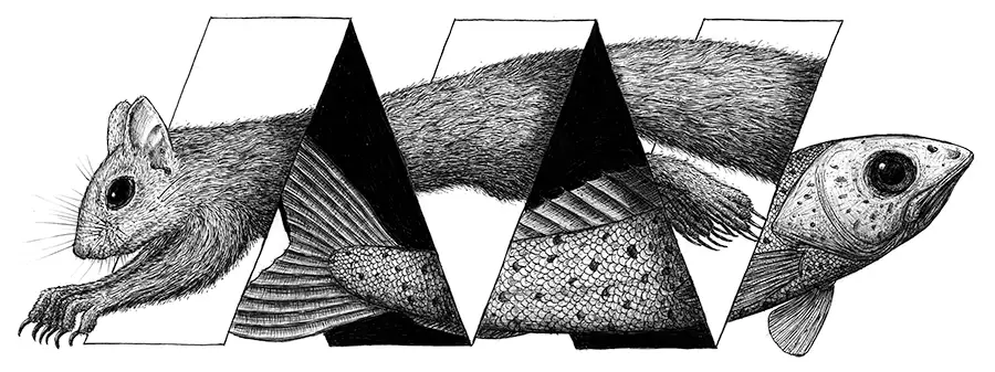 Kugelschreiber-Zeichnung mit optischer Täuschung auf der ein Fisch und ein Eichhörnchen zu sehen sind, die sich durch eine geometrische Struktur bewegen
