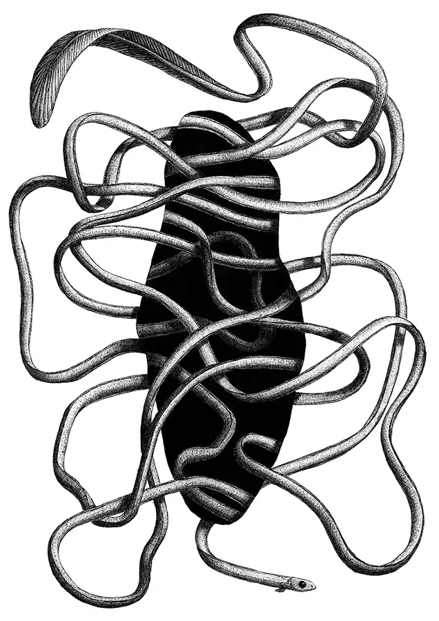Kugelschreiber-Zeichnung mit optischer Täuschung auf der ein Aal zu sehen sind, der sich durch ein Loch bewegt