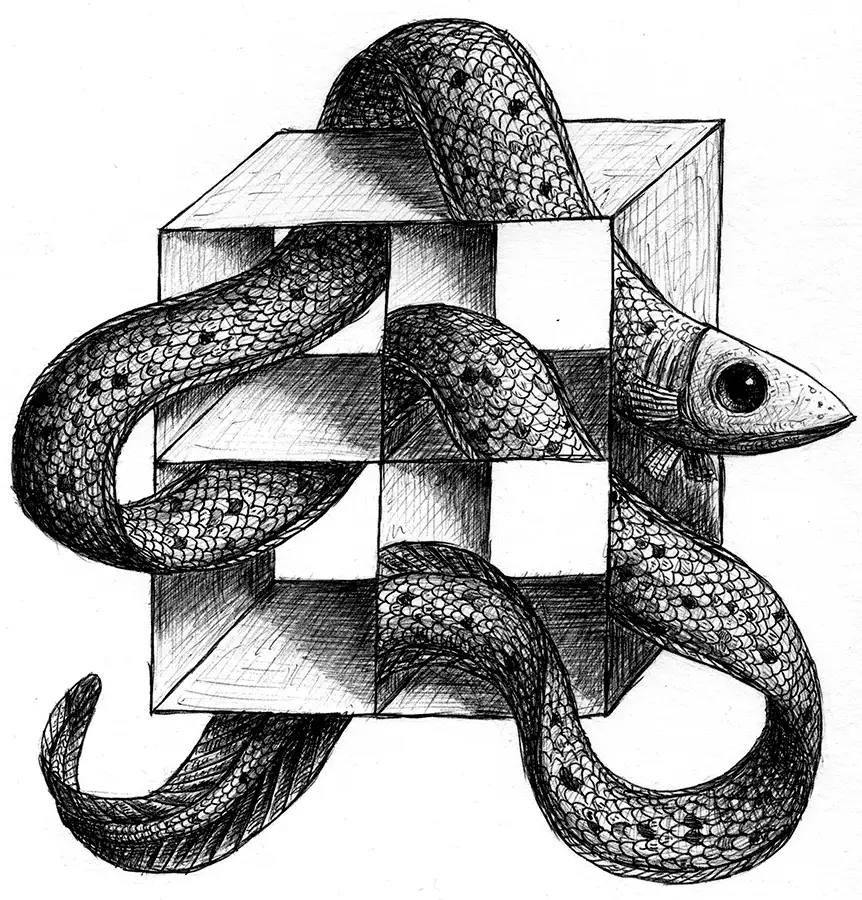 Biros drawing with optical illusion showing an eel swimming through a geometric grid