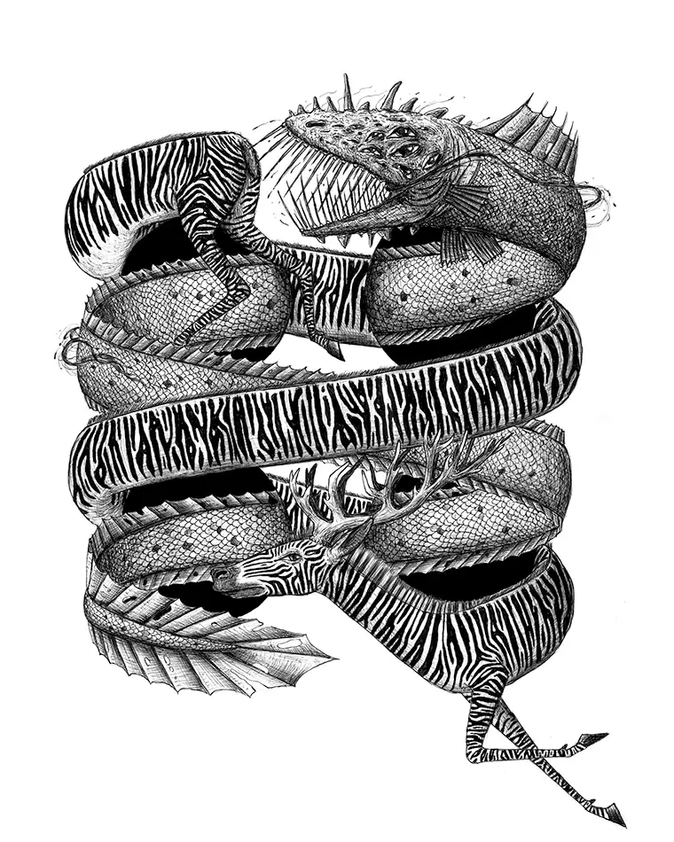 Kugelschreiber-Zeichnung mit optischer Täuschung auf der ein Aal sowie eine Zebra zu sehen sind, die durch vier Löcher schwimmen