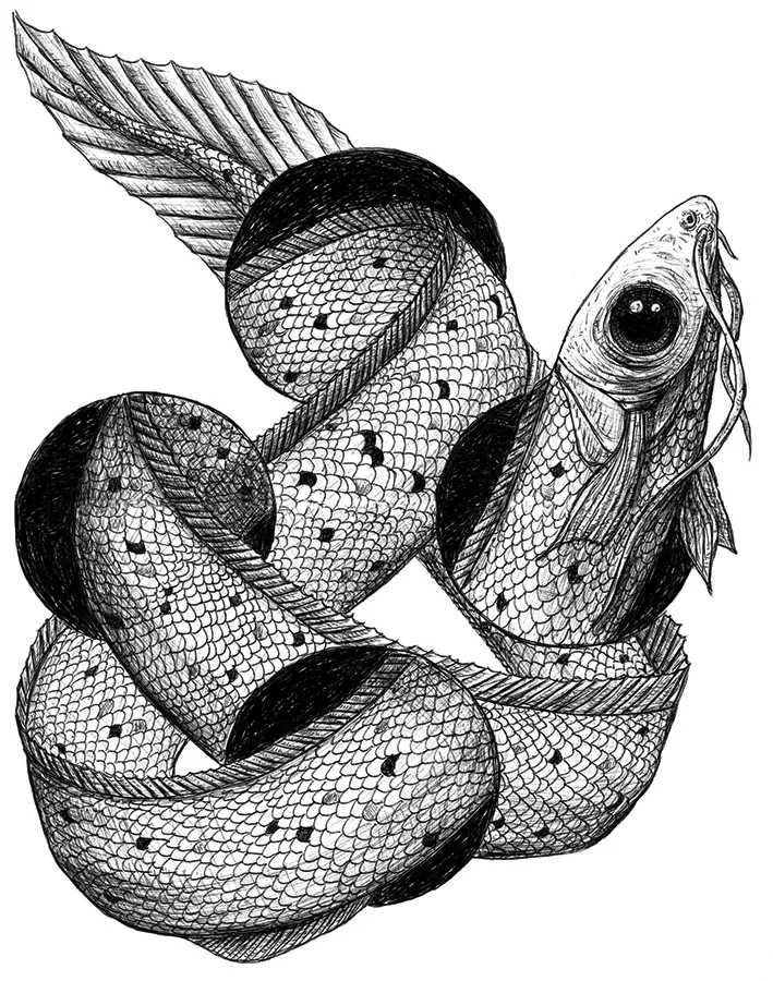 Kugelschreiber-Zeichnung mit optischer Täuschung auf der ein Aal zu sehen sind, der sich durch vier Löcher bewegt