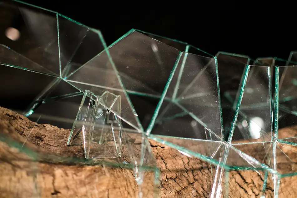 geometrisches Glaskunst-Objekt das ein Stück Treibholz einkapselt Detail