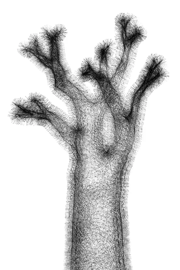 vector drawing of a dead tree