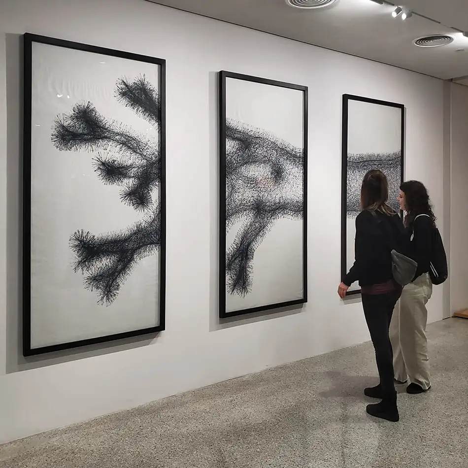 vector drawing of a dead tree on paper exhibited at Stadtbibliothek Innsbruck with spectators