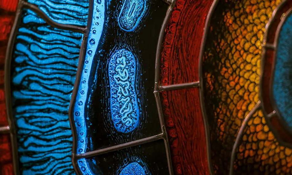 Detail einer detailliert bemalte Bleiverglasung die an eine gigantische floureszierende Zelle erinnert