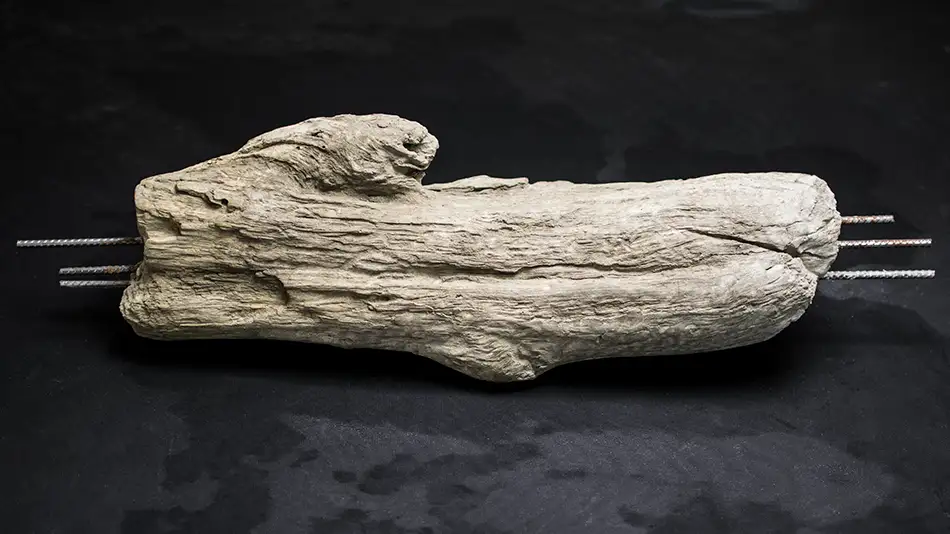 Concrete cast of a piece of driftwood with protruding reinforcing bars, a hybrid object between nature and industry - lying