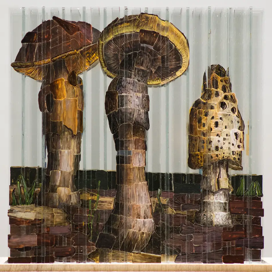 Anamorphic glass art with four fragmented images - mushrooms