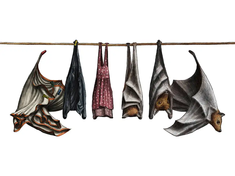 Anamorphic glass art with four fragmented images - digital drawing showing a clothesline with bats