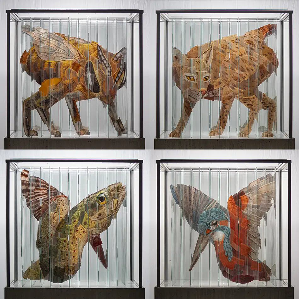 Human Animal Binary - anamorphic stained glass ecological art installation - four images, bee, lynx, king fisher, river trout