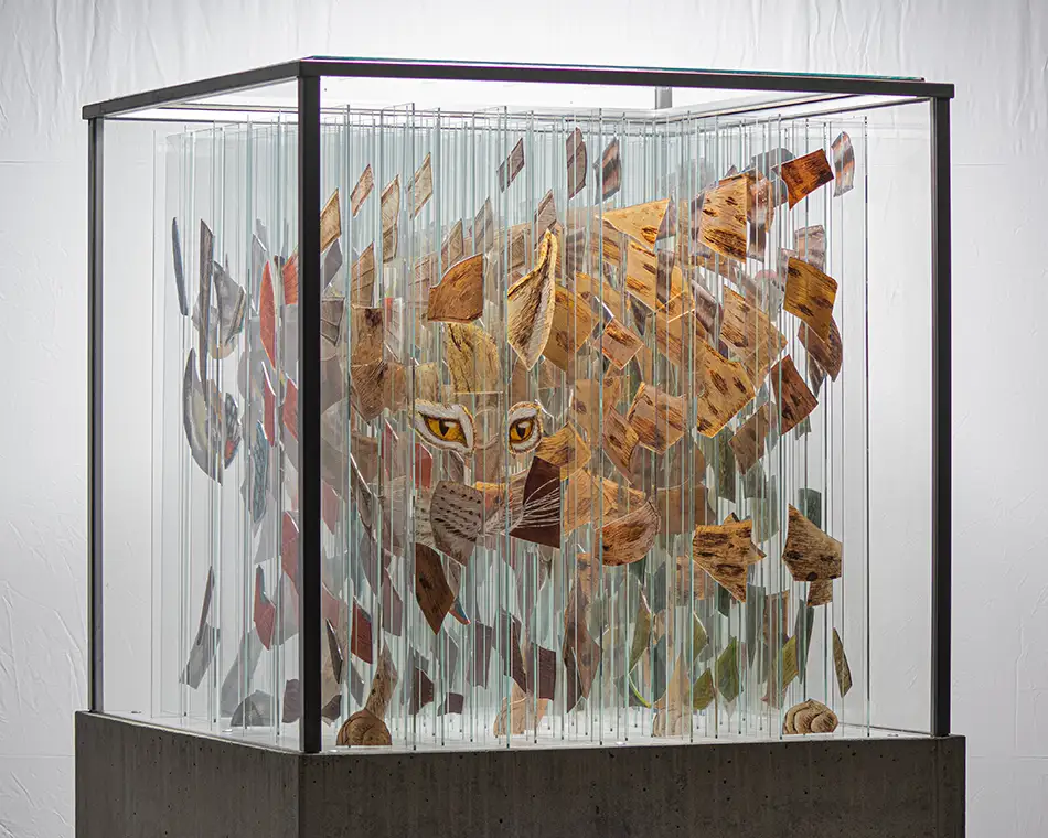 Human Animal Binary - anamorphe Glasmalerei Öko-Kunst-Installation - Luchs halb-aufgelöst