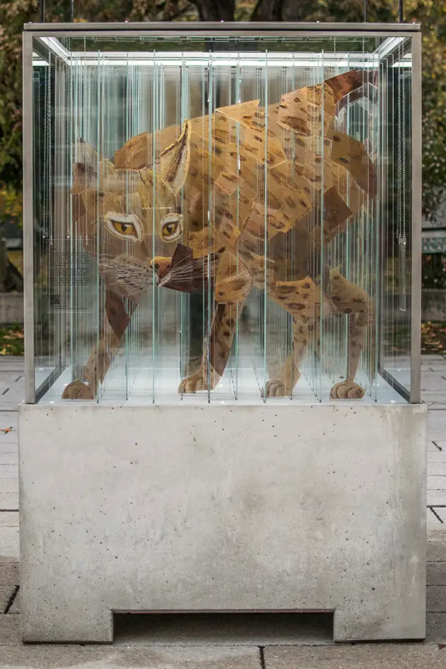 Human Animal Binary - anamorphic stained glass ecological art installation - lynx