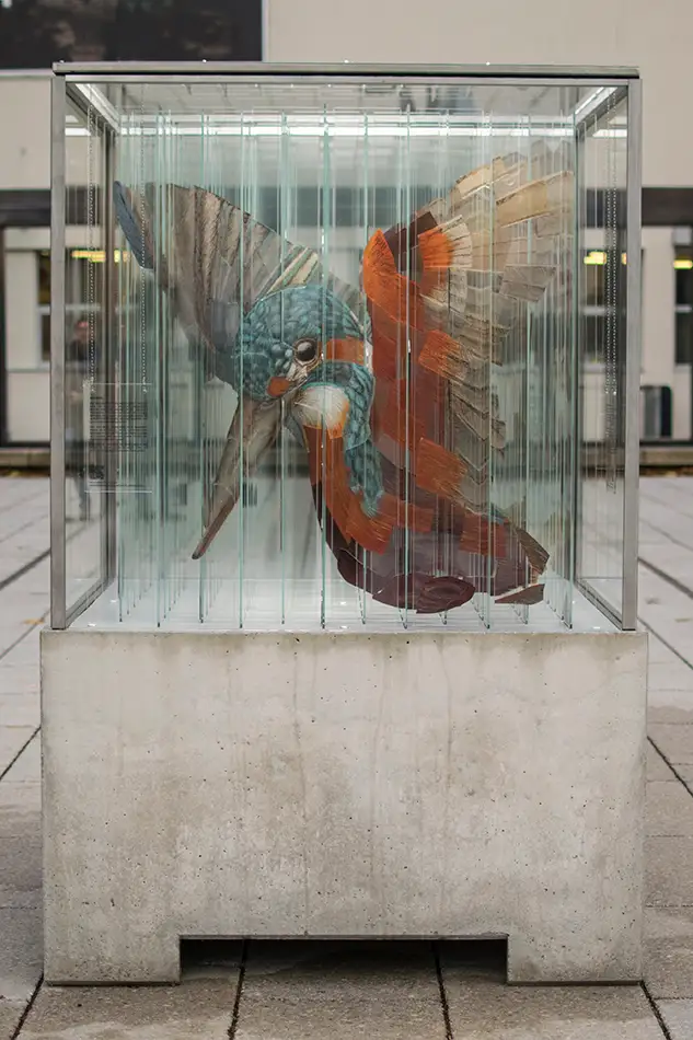 Human Animal Binary - anamorphic stained glass ecological art installation - king fisher