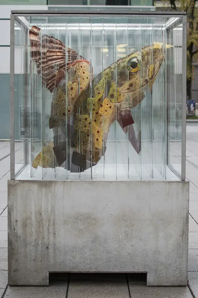 Human Animal Binary - anamorphic stained glass ecological art installation - river trout