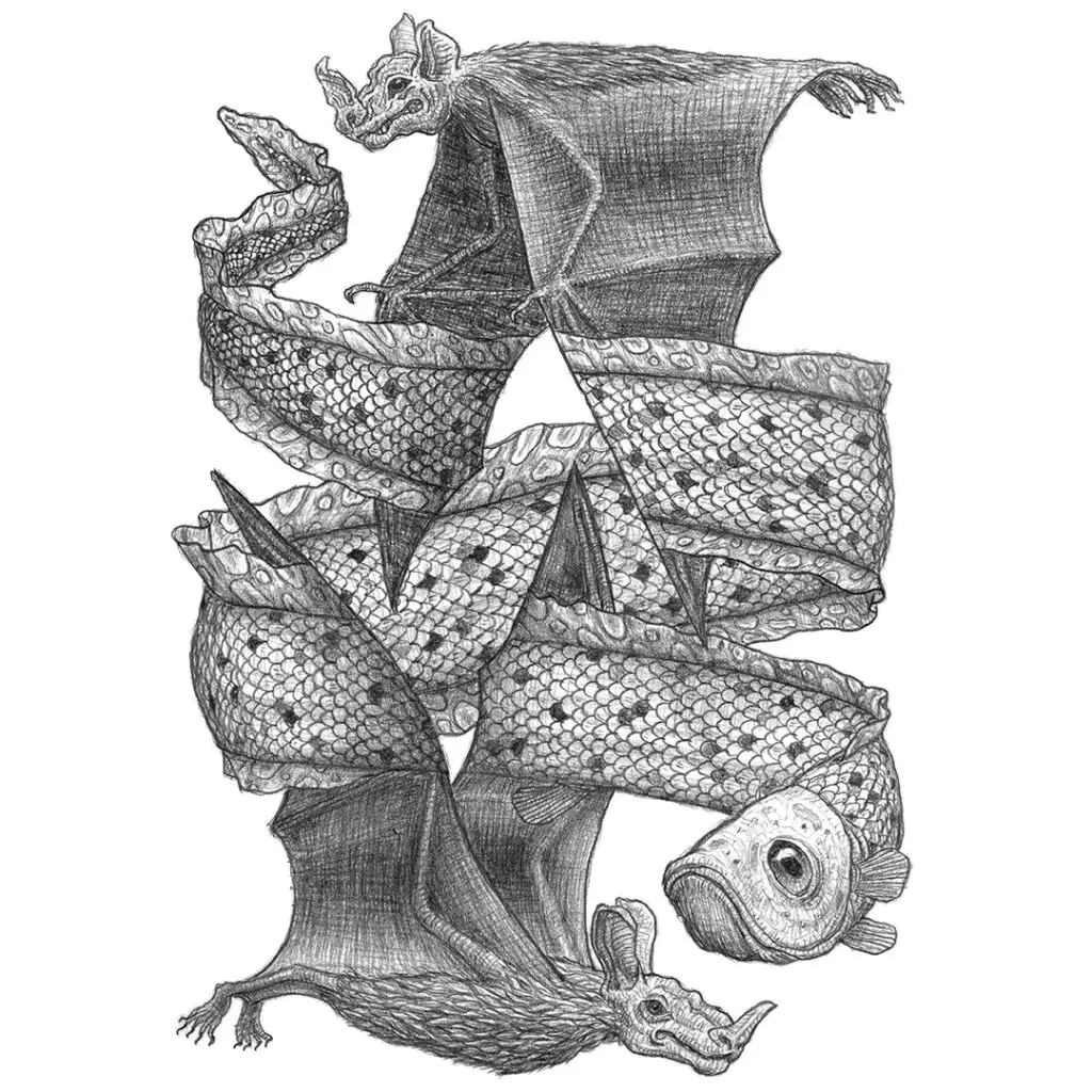 Polytrauma - Serie von Bleistiftzeichnungen in Skizzenbuch - Optische Täuschung mit Aalen und Fledermäusen