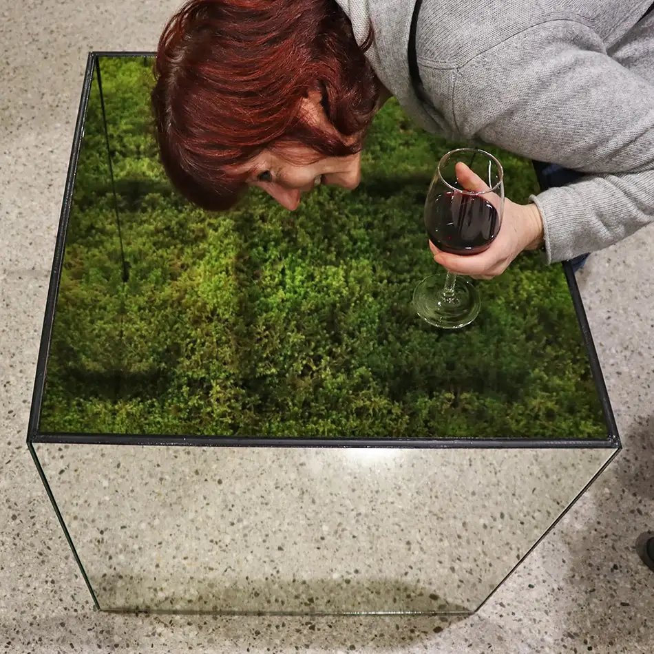 Ecotopia - mirror art installation - with person