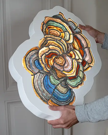 Versicolor ii